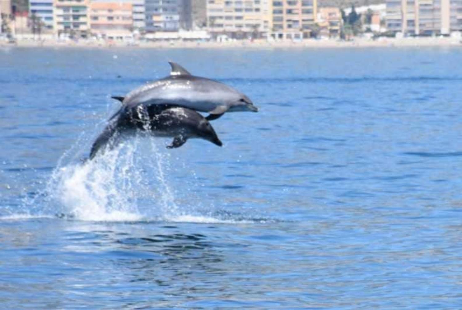 Primera Linea Del Mar - Acceso Directo Playa Carihuela Torremolinos Luaran gambar